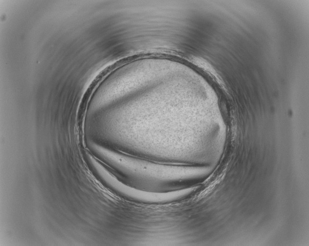 X0000070220924200606161703