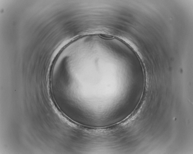 X0000070220949200606161703