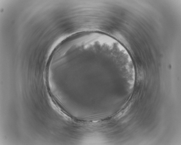 X0000070220958200606161704