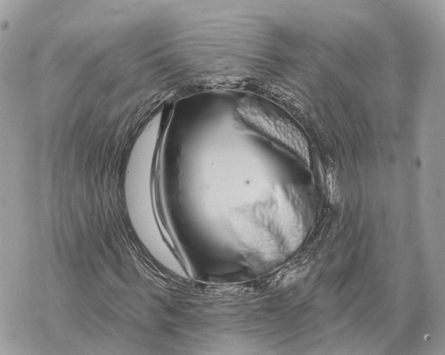 X0000070220963200606161703