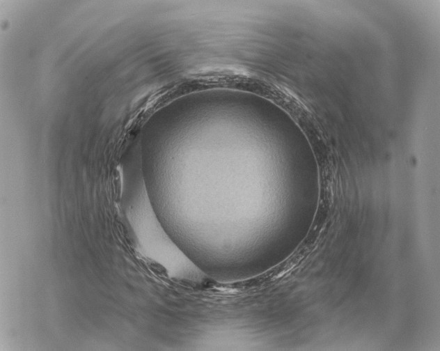 X0000070220965200606161703