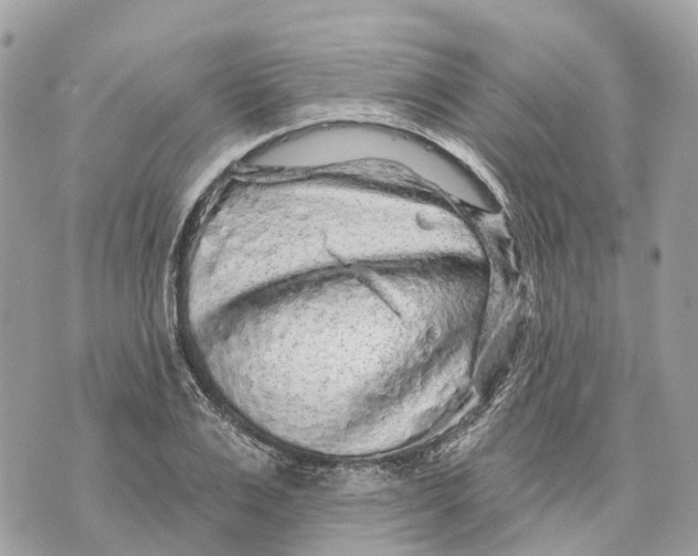 X0000070220983200606161703