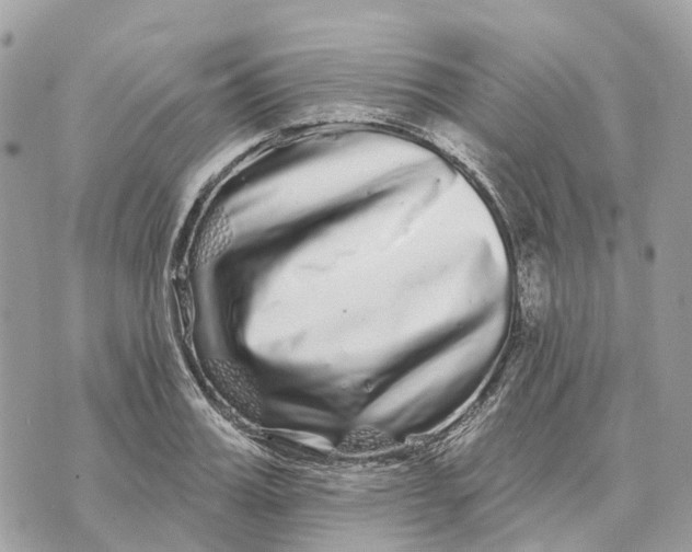 X0000070220987200606161702