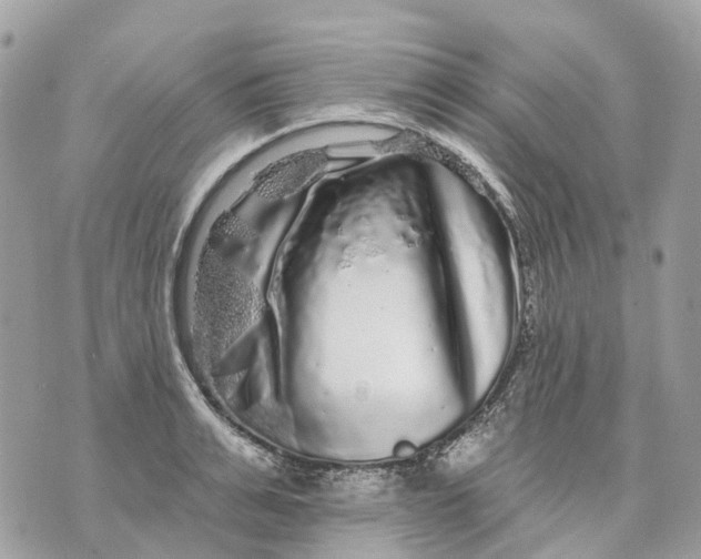 X0000070220991200606161702