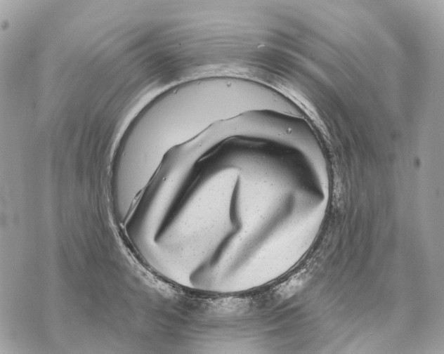 X0000070220992200606161702
