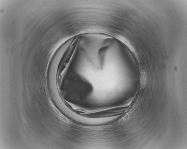 X0000070220996200606161702