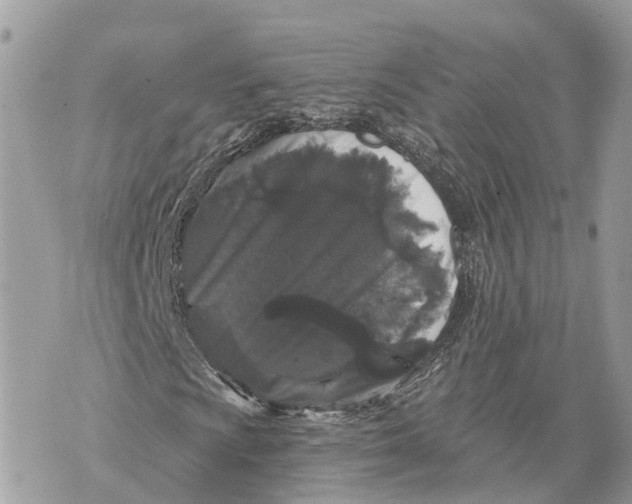 X0000070221009200606161701