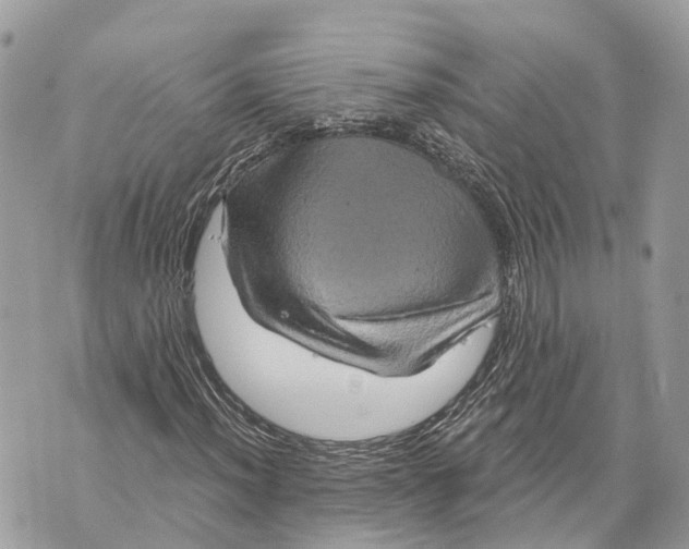 X0000070221012200606161701
