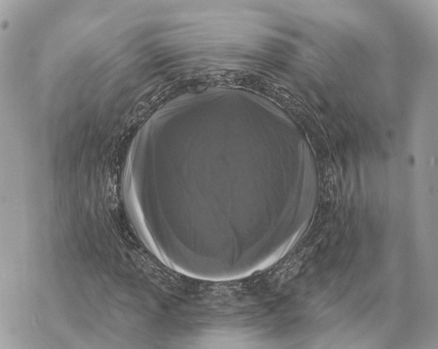 X0000070221013200606161701