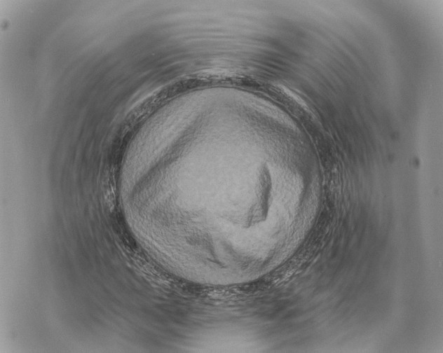 X0000070221015200606161701