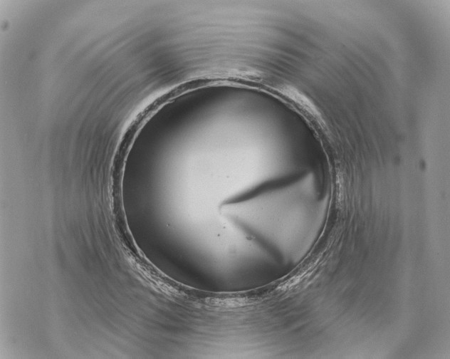 X0000070221020200606161701