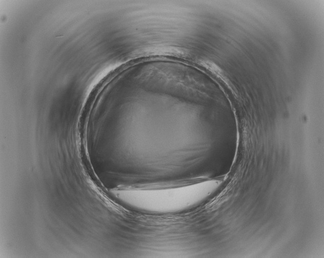 X0000070221024200606161702