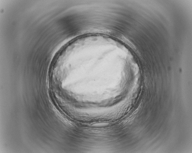 X0000070221028200606161702