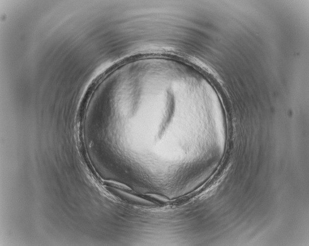 X0000070221029200606161702