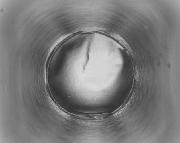 X0000070221036200606161702