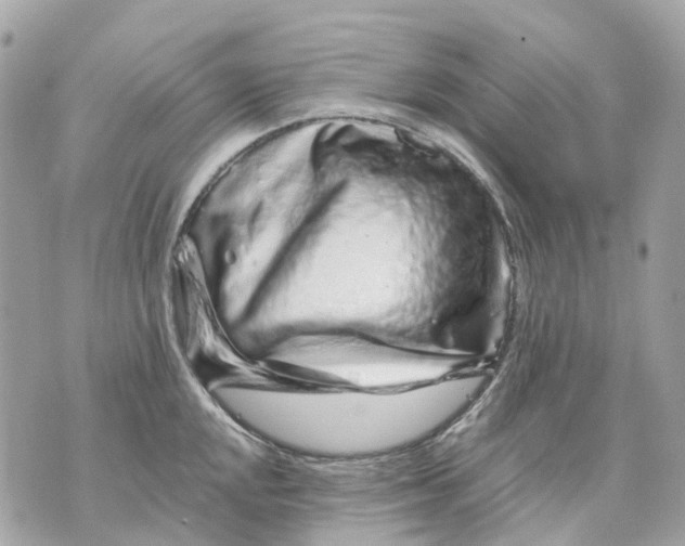 X0000070221048200606161702