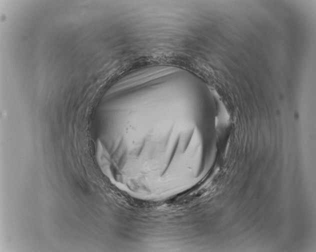 X0000070221057200606161701