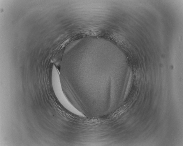 X0000070221058200606161701