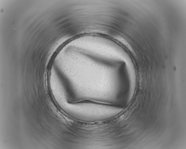 X0000070221076200606161701