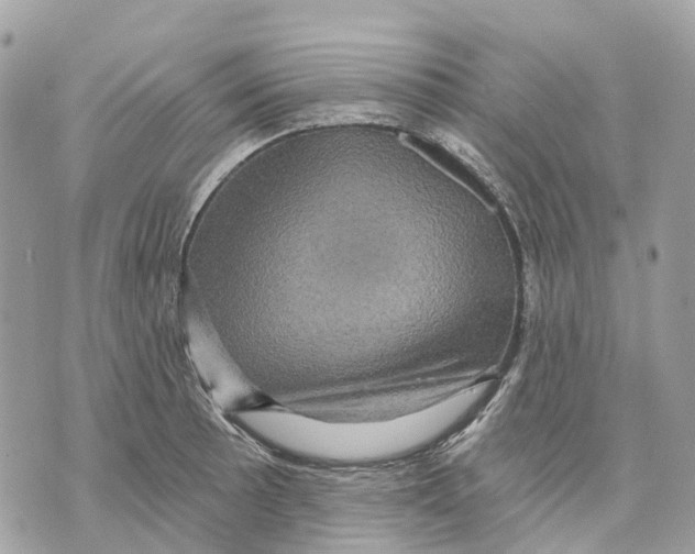 X0000070221089200606161701