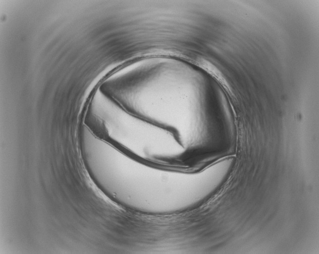 X0000070221092200606161701