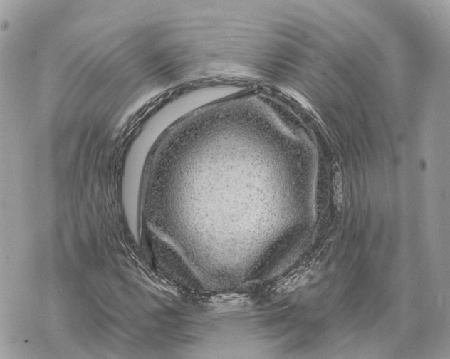 X0000070221112200606161700