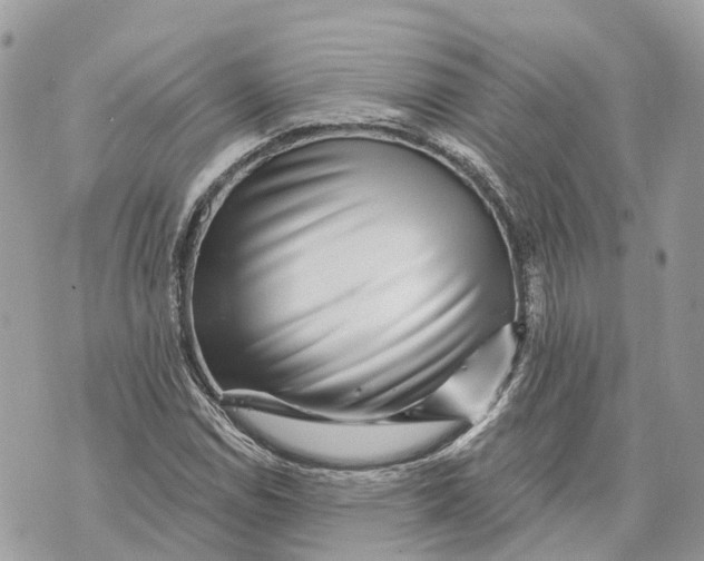 X0000070221114200606161700