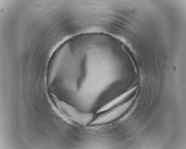 X0000070221134200606161700
