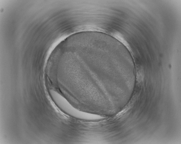 X0000070221144200606161700