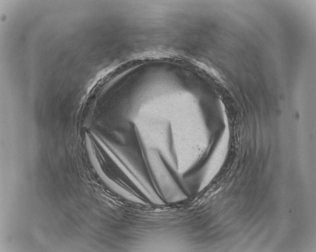 X0000070221160200606161700