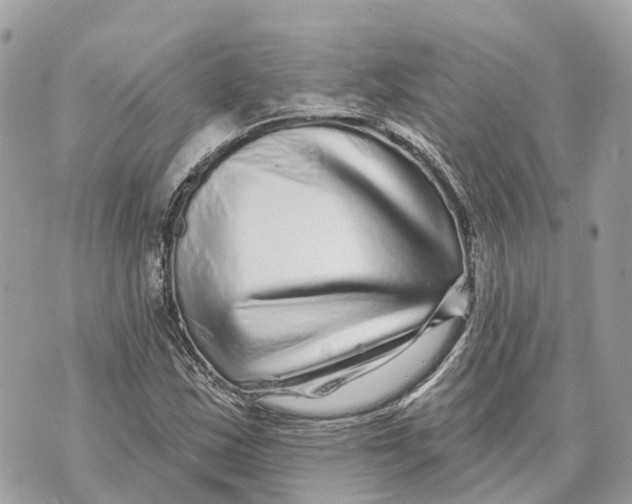 X0000070221163200606161700