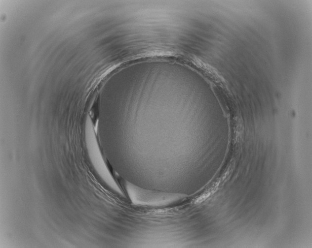 X0000070221169200606161659
