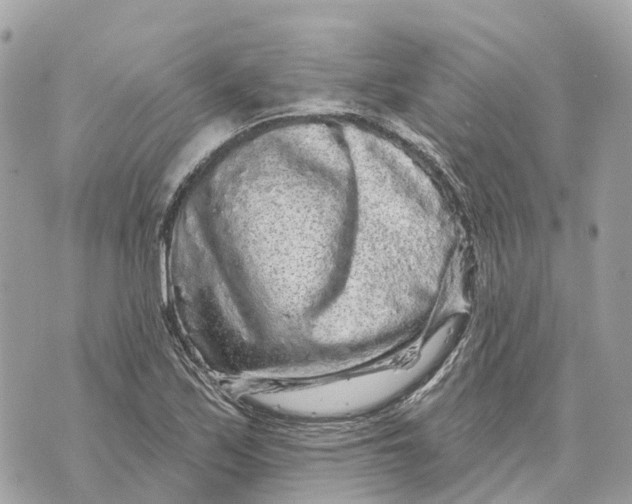 X0000070221171200606161659
