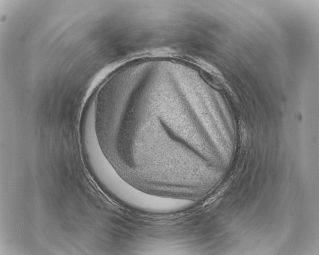 X0000070221176200606161659