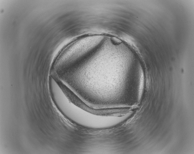 X0000070221183200606161659