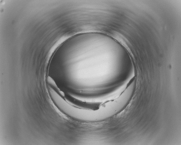 X0000070221197200606161659
