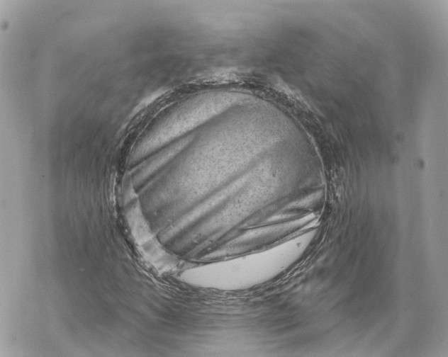 X0000070221206200606161658