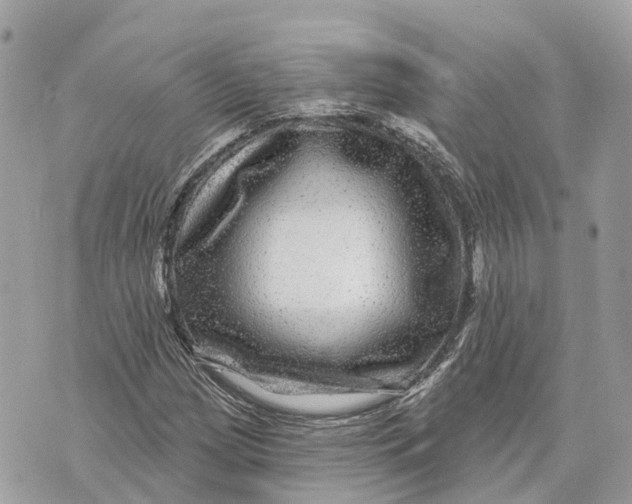 X0000070221209200606161658