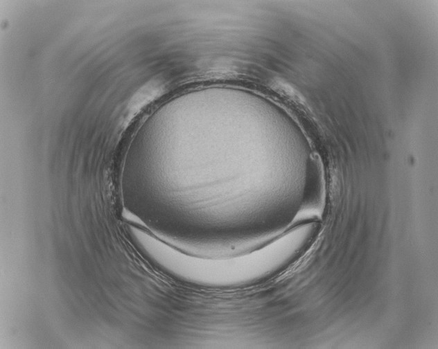 X0000070221210200606161658