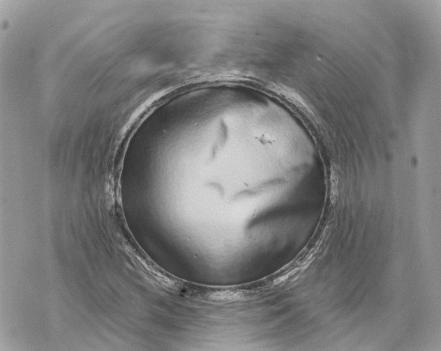 X0000070221212200606161658