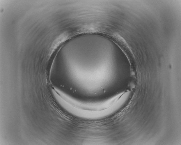 X0000070221218200606161658