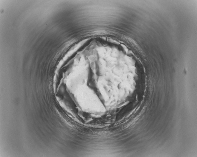 X0000070221225200606161659