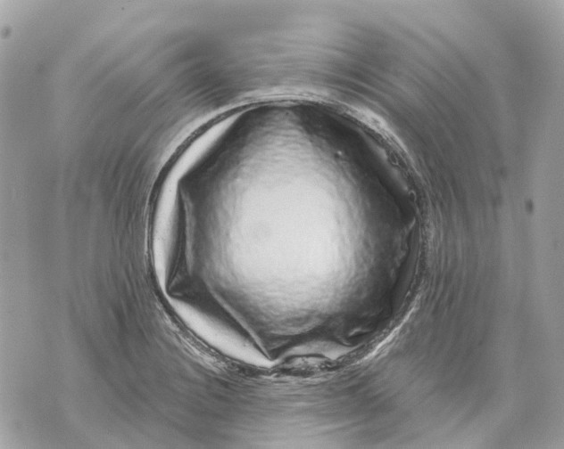 X0000070221228200606161659