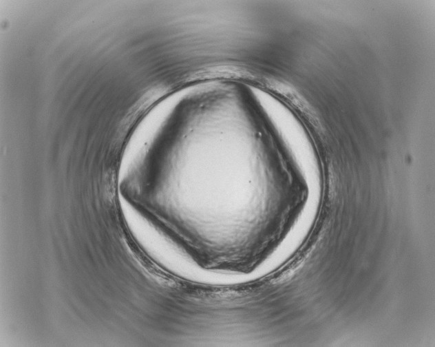 X0000070221233200606161659