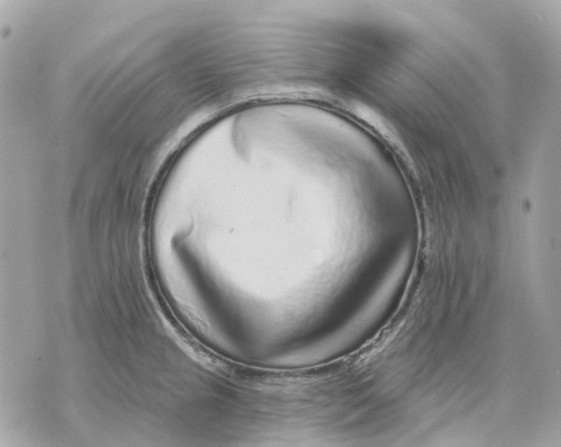 X0000070221237200606161659