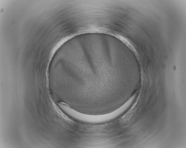 X0000070221238200606161659