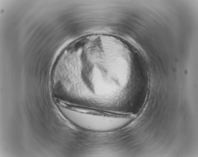 X0000070221240200606161659