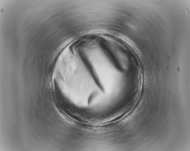 X0000070221241200606161659