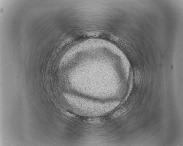 X0000070221249200606161658