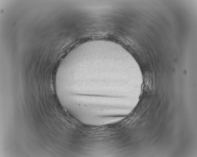 X0000070221252200606161658